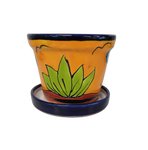 Hand Painted Mexican Pot - Maceta Rancherito