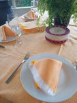 Mexican table Cloth with Napkins (Manteles)