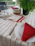 Mexican table Cloth with Napkins (Manteles)